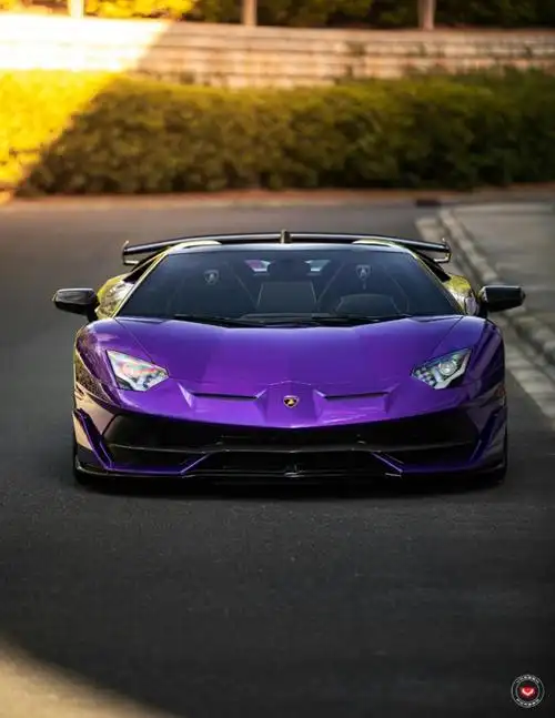 不用看了你买不起的兰博基尼svj敞篷全碳车身