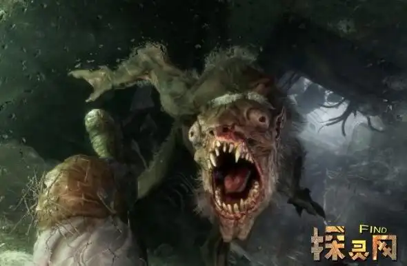 世界上最大的食人巨鼠前苏联大老鼠吃了5个人