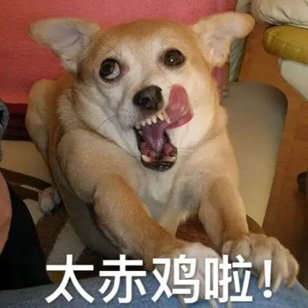 动物带字的搞笑图片你的良心不会痛吗