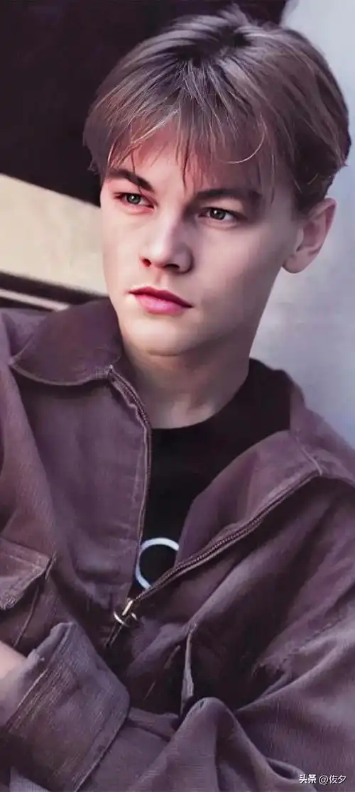 小李子剧照图片壁纸(莱昂纳多壁纸—逝去的巅峰容颜)