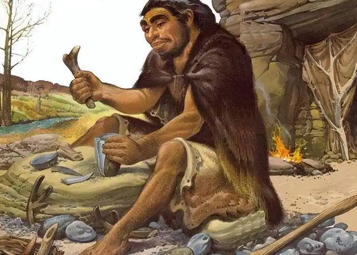 人类祖先的智慧是越来越高的,后来就有了石器的出现,有了石器的使用