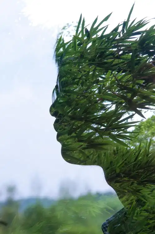 【实拍作业6】多重曝光下的作品拍摄