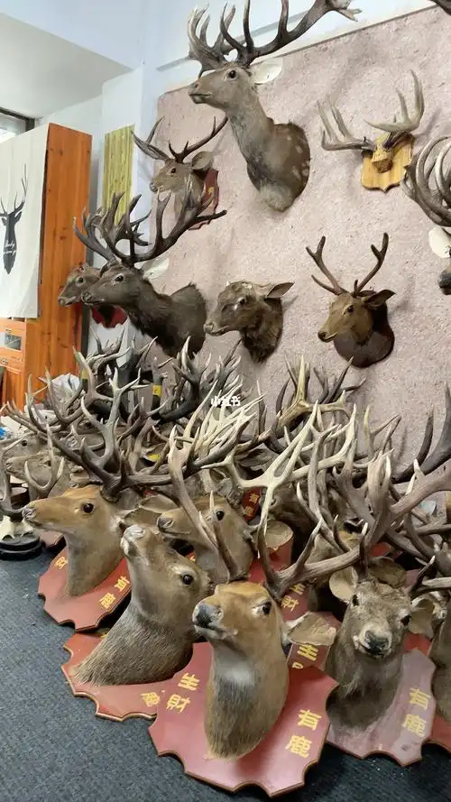 鹿角挂件真鹿角