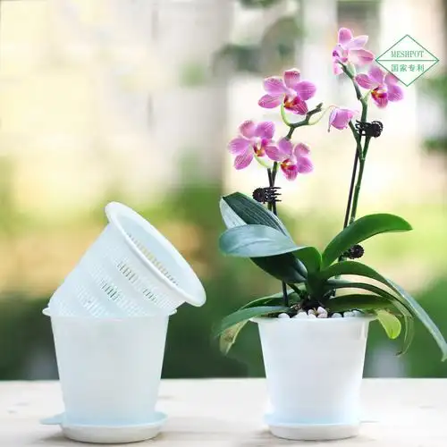 美莳双层蝴蝶兰控根花盆透气塑料多肉套装组合花盆
