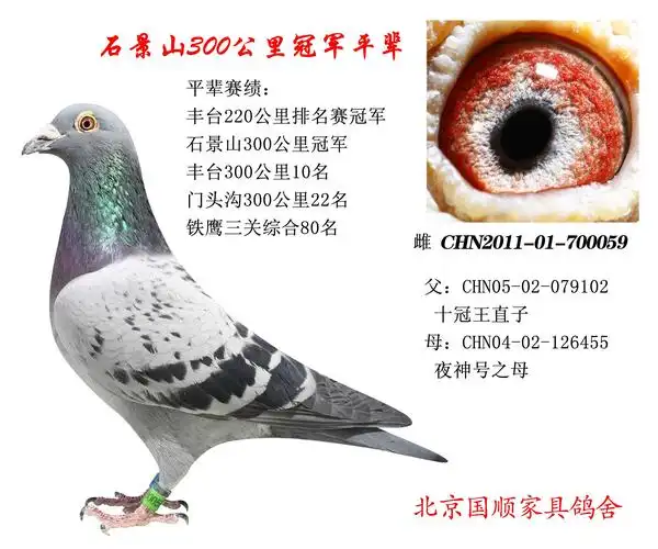 北京国顺家具潘绍祥17年第四十七场拍卖会