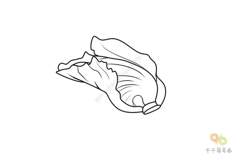 怎么画芥菜简笔画图片