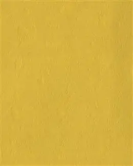 ins橘色纯色背景图片