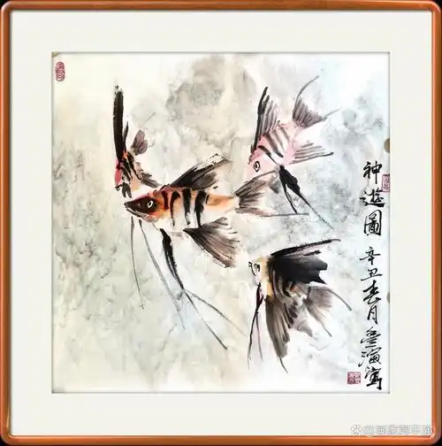 神仙鱼,又名燕鱼,天使鱼,小神仙鱼,小鳍帆鱼等,丽鱼科,天使鱼属,原产