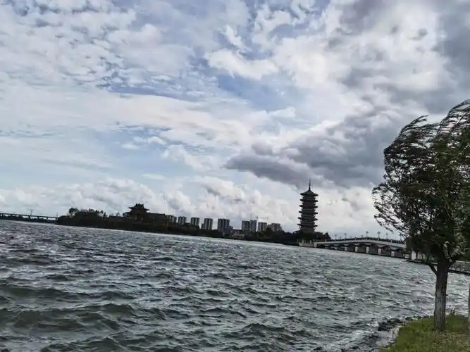 胶州少海湿地公园真心不错