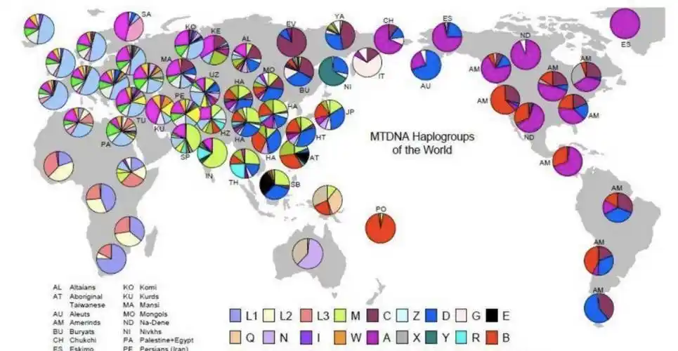 所以就有专家提取过芬兰人的dna样本,发现他们的基因与欧洲人并不相同