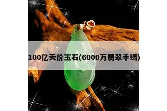 100亿天价玉石(6000万翡翠手镯)