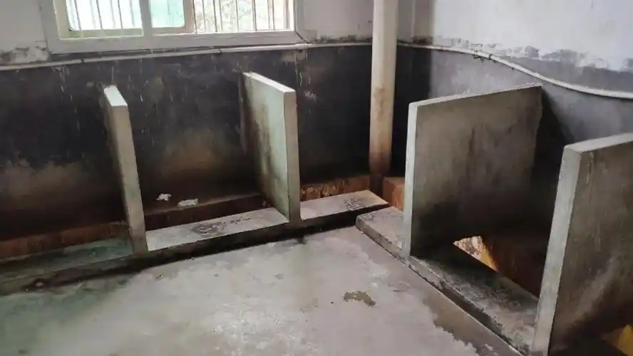 对厕所"情有独钟"的他们