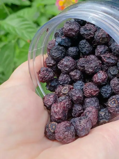 配料表里只有新鲜蓝莓没有糖!没有油!