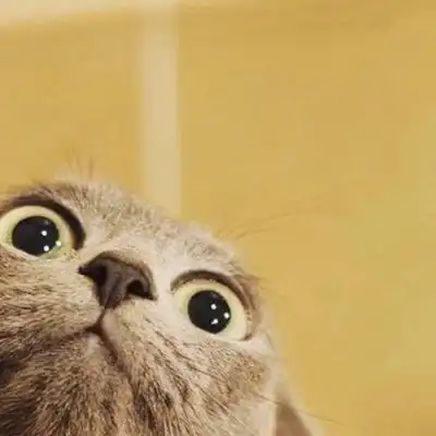 2019萌宠呆萌可爱猫咪小动物头像图片