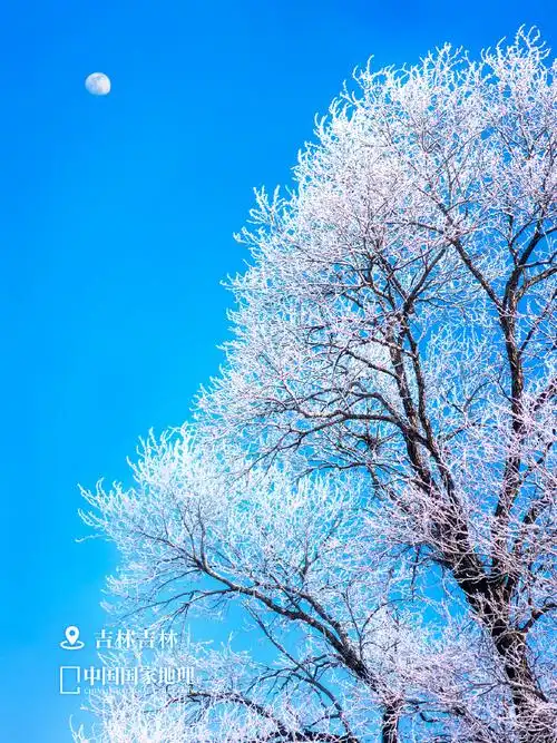 遇见中国美色##春天壁纸##地理君带你看中国