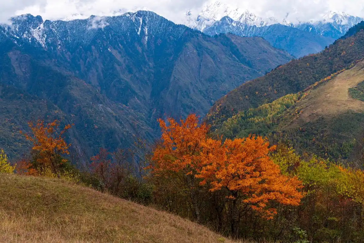 四川旅游#  米亚罗,一个藏羌风情浓郁的小镇,位于四川省阿坝州理县
