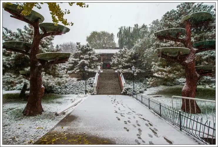 陶然亭的雪景