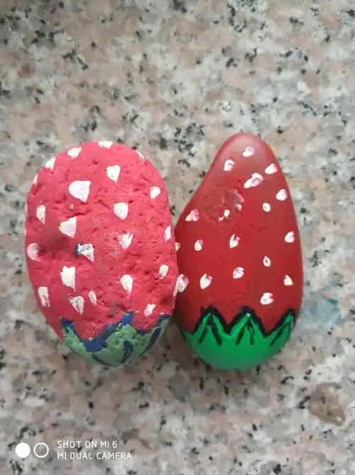 大三班小朋友的石头画