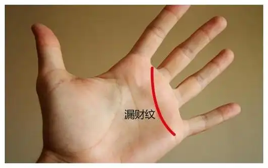 漏财纹是由感情线而出,连接在食指与中指之间,有这种纹理的人比较感性