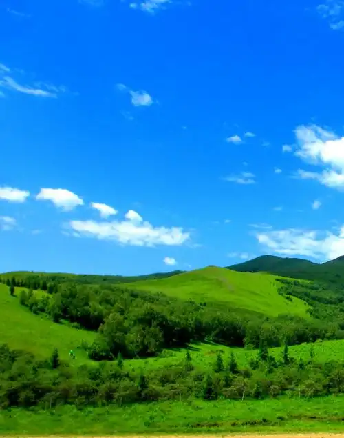 东北行--大地篇