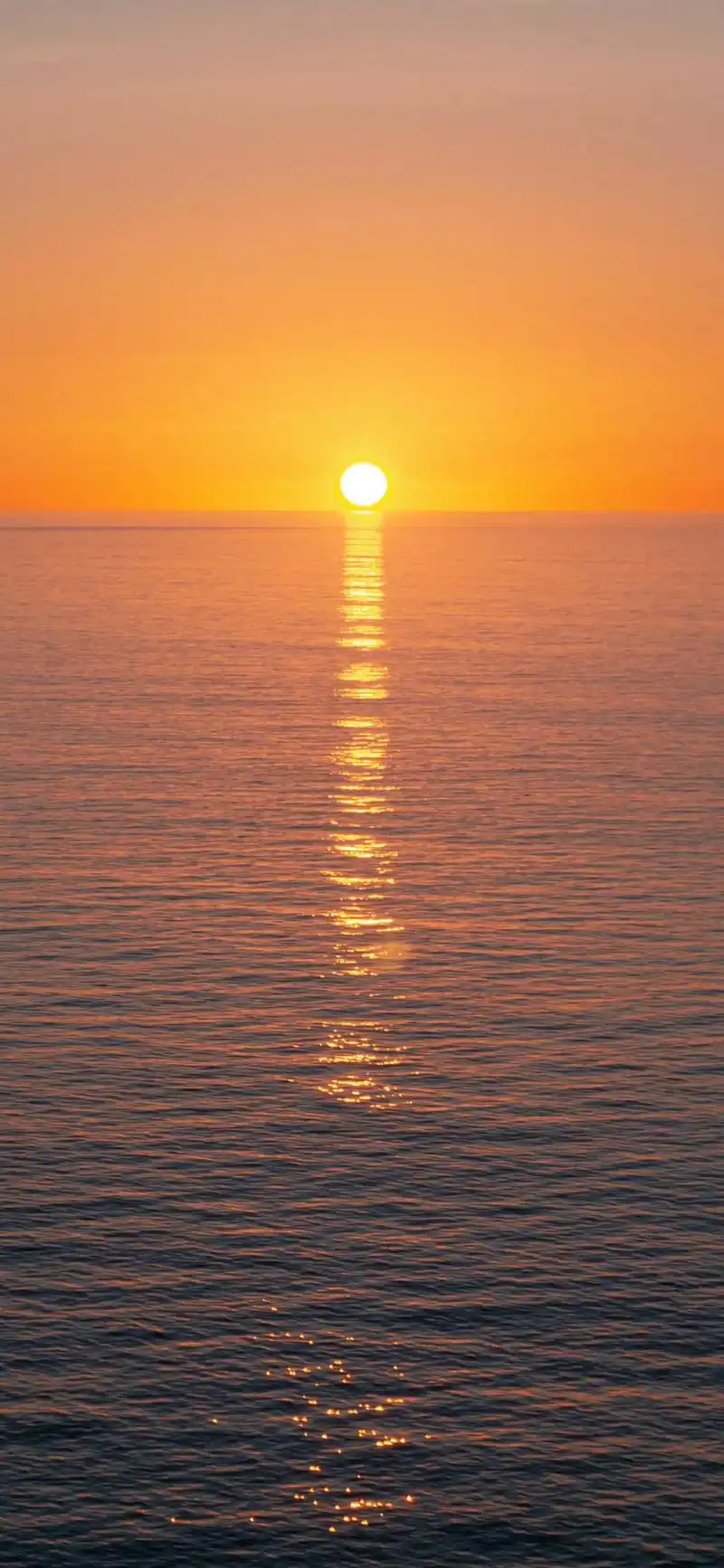 落日余晖,只需一眼便知是你.iphone壁纸推荐#手机墙纸  - 抖音