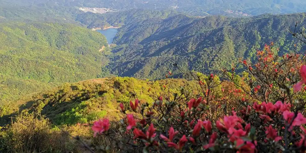 2020从化通天蜡烛山