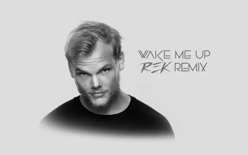 致敬avicii - wake me up