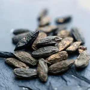 la tienda eden 20%浓度的零陵香豆原精tonka bean abs. 5ml分装