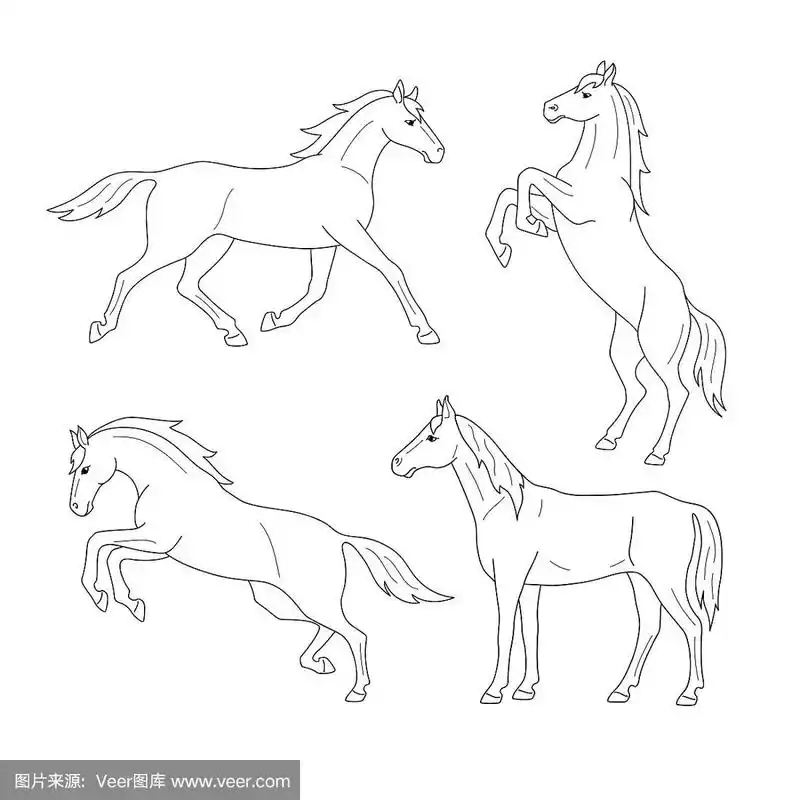 马,侧面视角,跑,白色背景,后腿站立