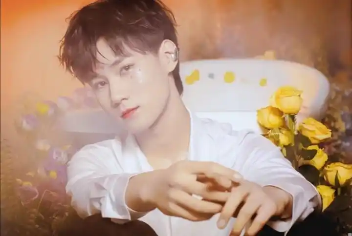 92上升正主有私设,看不惯走开张真源不明白,明明自己已经很努力了