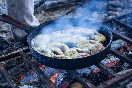 在篝火上烤制鱼在野营篝火上烤鱼照片