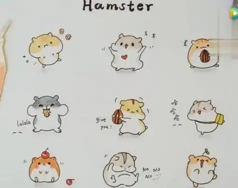 仓鼠的简笔画可爱呆萌