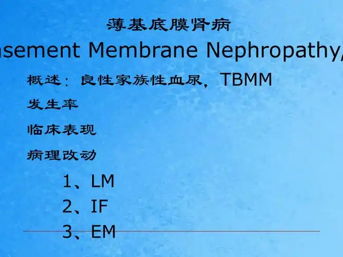 薄基底膜肾病-章友康ppt课件_第2页