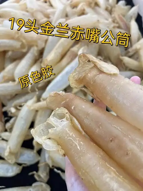 实物更美腻的金兰赤嘴公筒