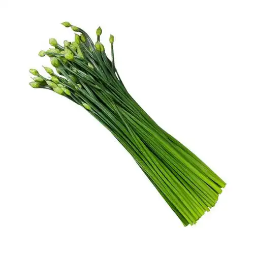 新鲜韭苔特价1斤