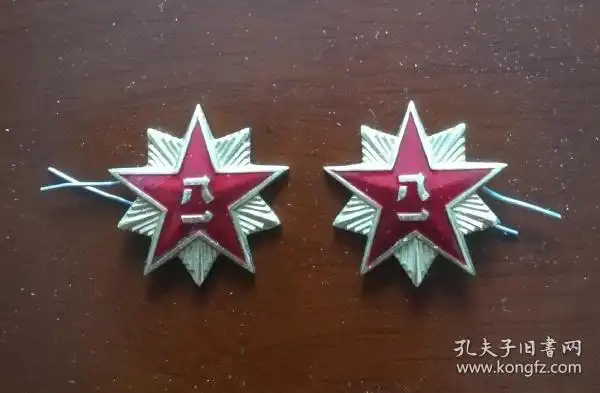 退役 解放军87式 陆军军服领花 一幅 包邮局挂号邮寄