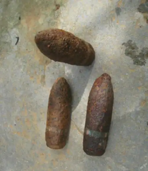 中山市民金紫山上发现炮弹 疑为侵华日军遗留