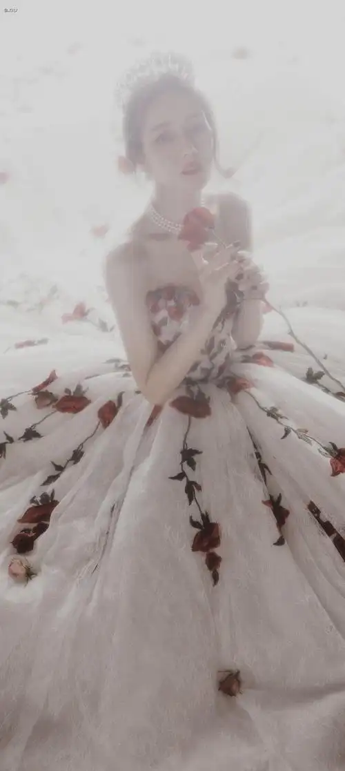 95|玫瑰公主    #迪丽热巴#▁30玫瑰庄园跑出来的公主    独占