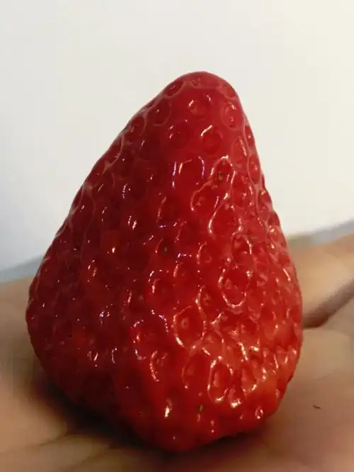 无籽草莓是什么感觉