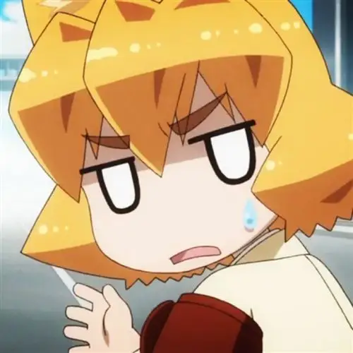 猫神八百万 众神中的猫神 猫神やおよろず 二次元 动漫 动画 新番