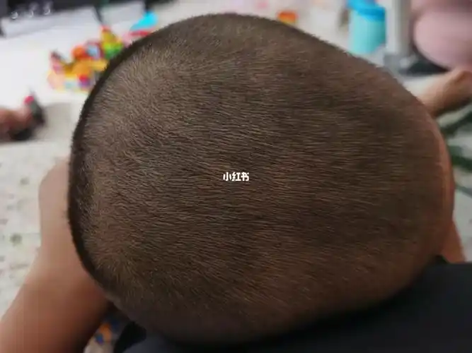 这个头还算是标准的圆头不