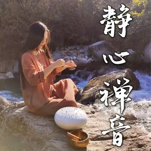静心禅音|大自然白噪音与音符的交织 心灵spa