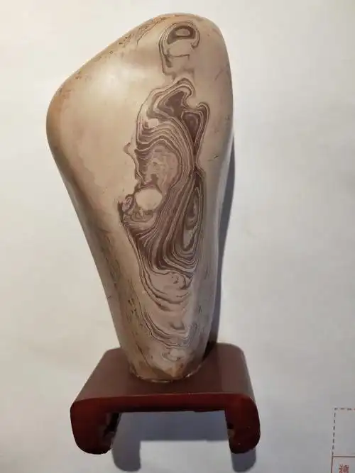 胡建雄收藏奇石欣赏