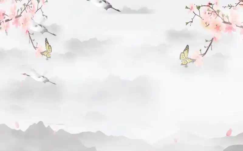 "不知为何,看到中国古风就有莫名的好感"