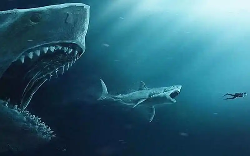 【小儛】史前怪兽《巨齿鲨》来袭,即使炎热的高温,也能让你惊出一身