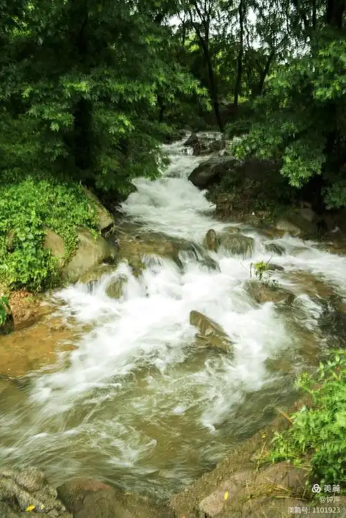 原先干涸的河道,流淌着清澈透明的山泉水.