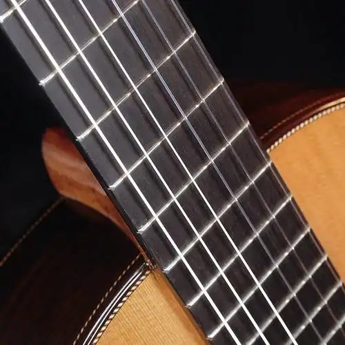 琴都有哪些种类