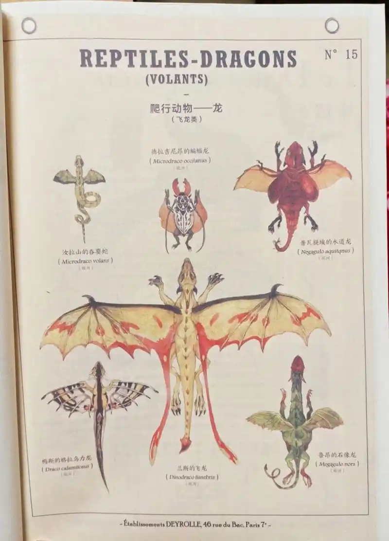 你所不知道的东方龙与西方龙 形态不同 东方龙是蛇一般身躯,无翅膀,有