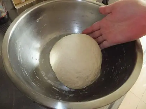 5.面团揉好了,需要经过二次发酵.