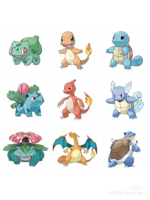 各种宝可梦进化形态